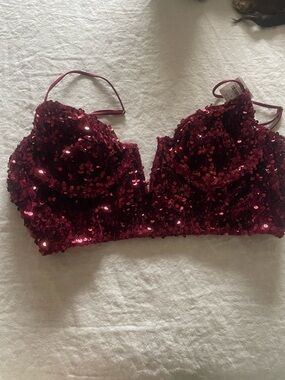 Anthropologie Fuchsia Sequin Bralette